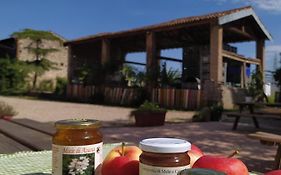 Agriturismo Corte Del Gal